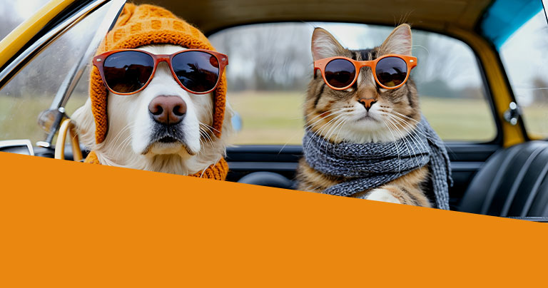 Lagerabverkauf Herbst